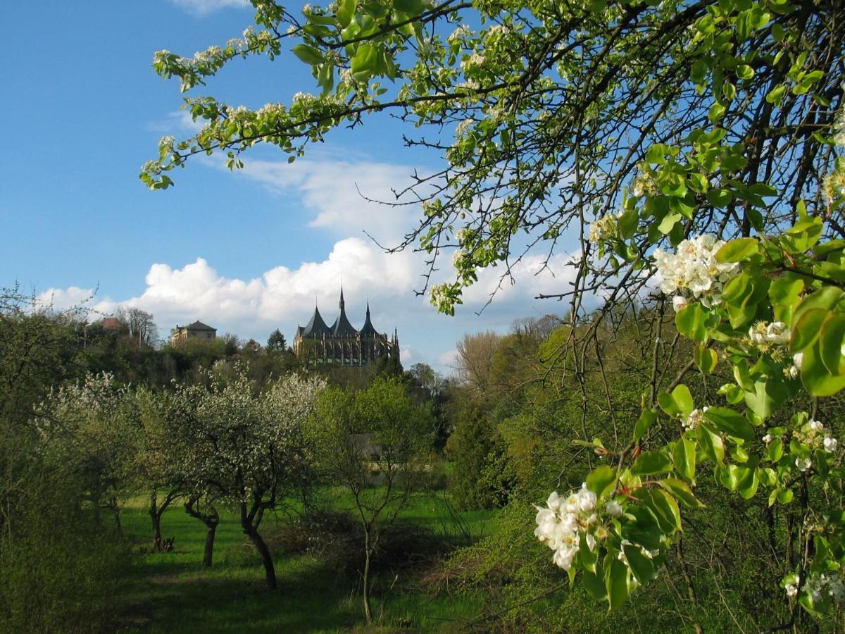 Penzion Art kutna Hora Bed and Breakfast Esterno foto